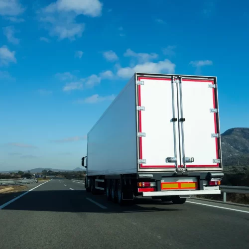 GRE.M.A.F. Autotrasporti: guida alla scelta dei servizi di trasporto refrigerato a Vibo Valentia